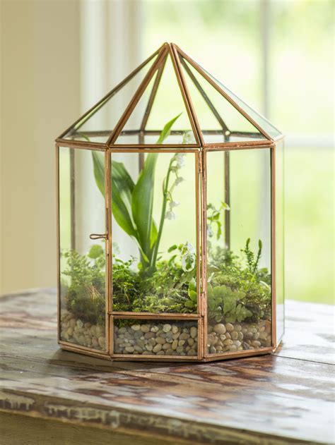 metal and glass house terrarium|glass terrarium with artificial plants.